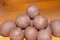 CFB Wafters 20mm 100g