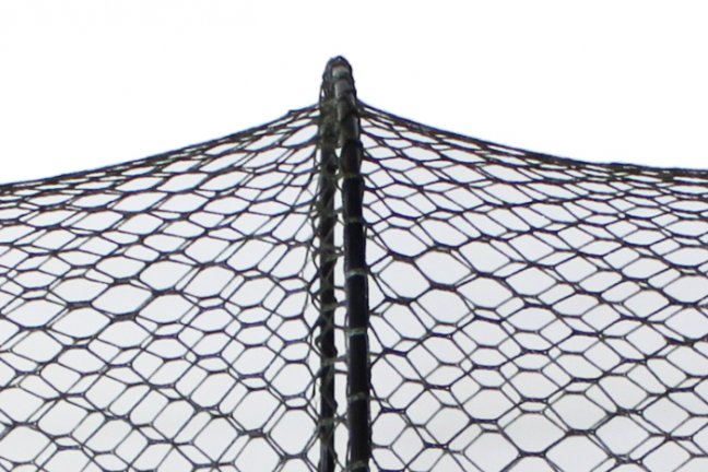 Úlovková sieť Delphin BASE - Rozmer: 35/80cm